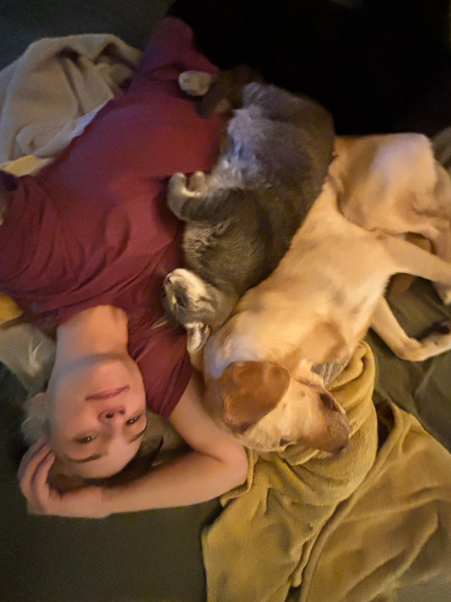 Donation For Korra’s Surgery