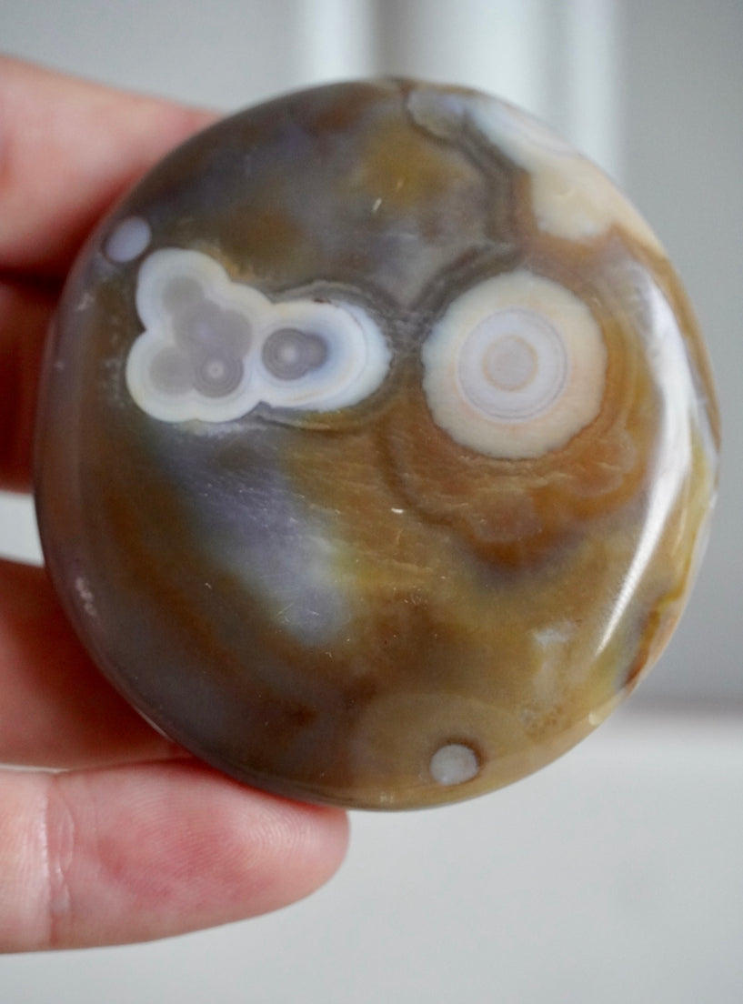 8th Vein Ocean Jasper Palm Stone