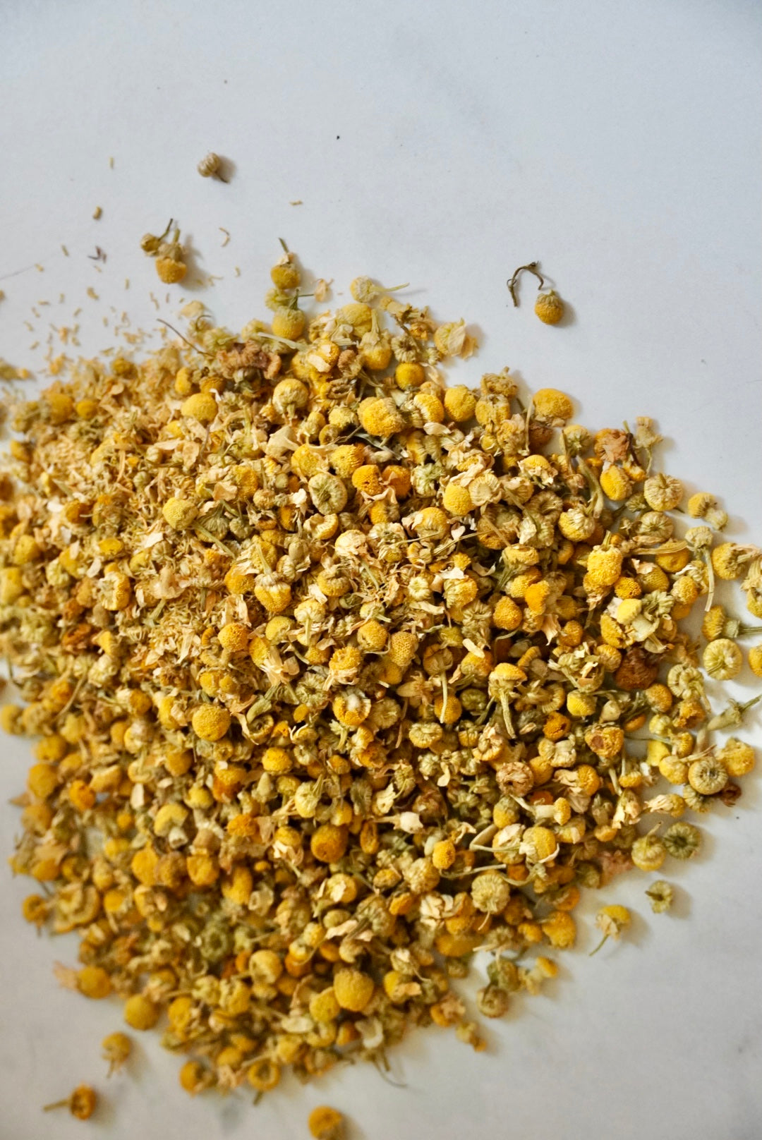 Organic German Chamomile