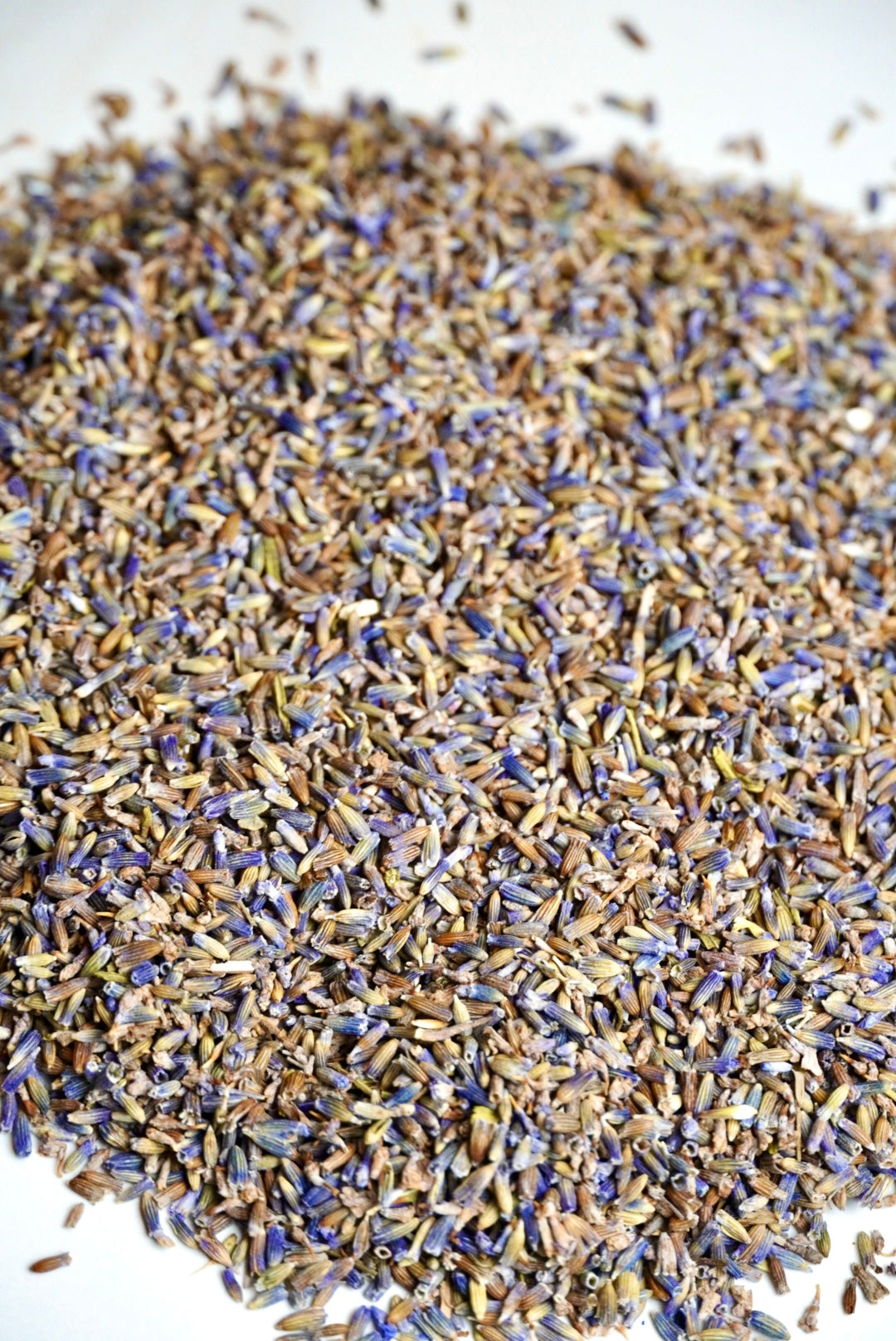 Organic Lavender