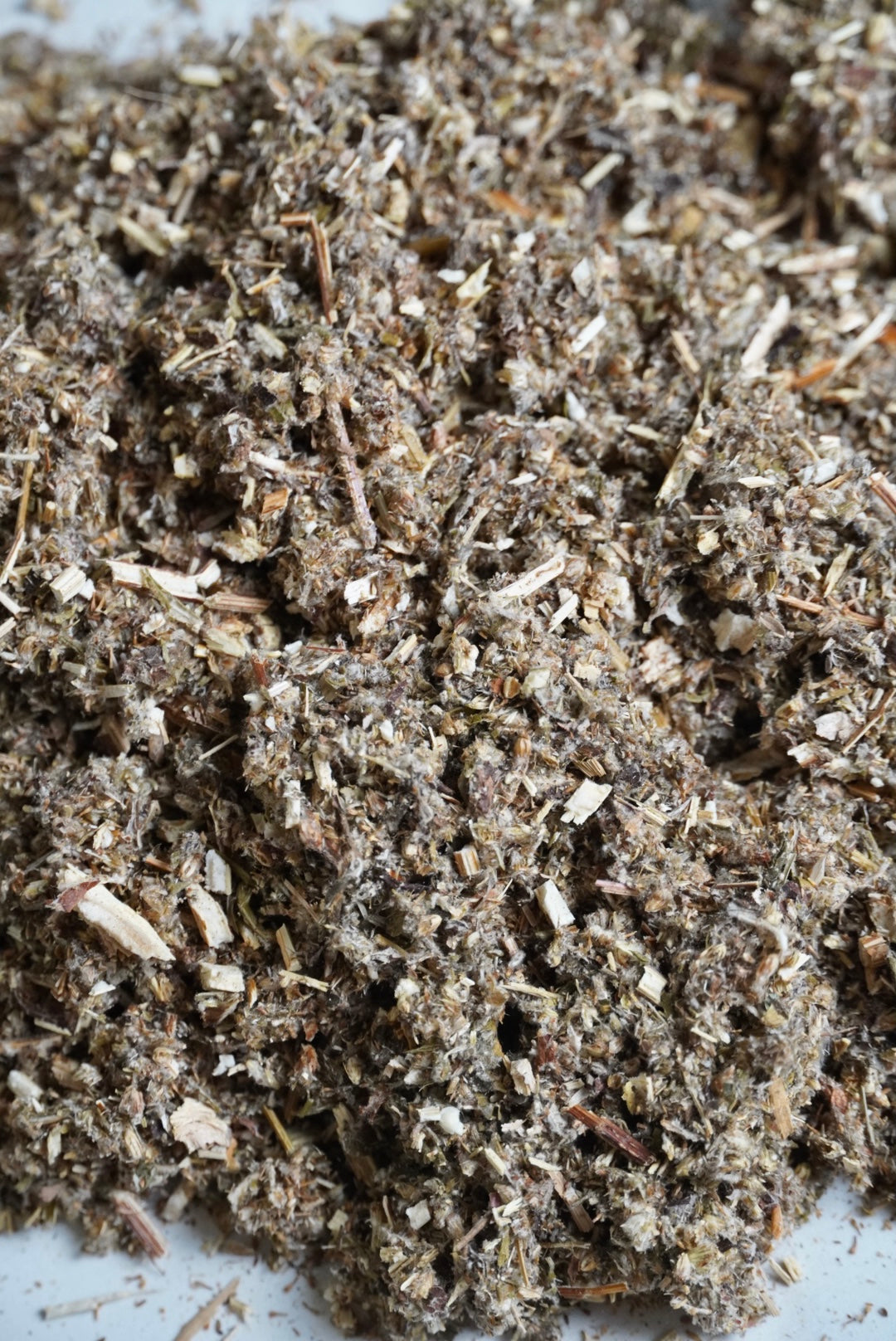 Organic Mugwort