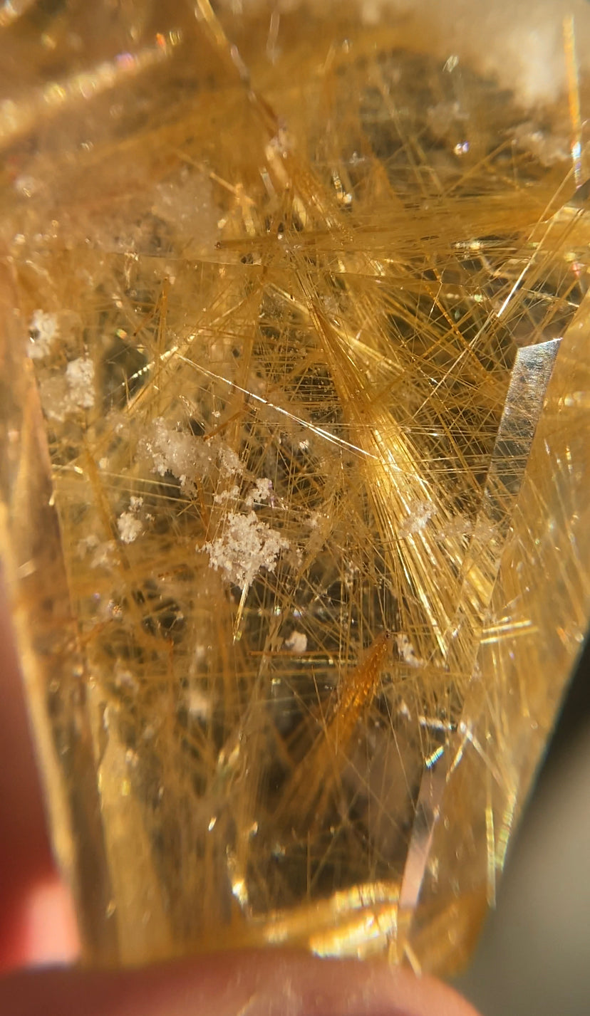 Gold Rutile & Chlorite Quartz