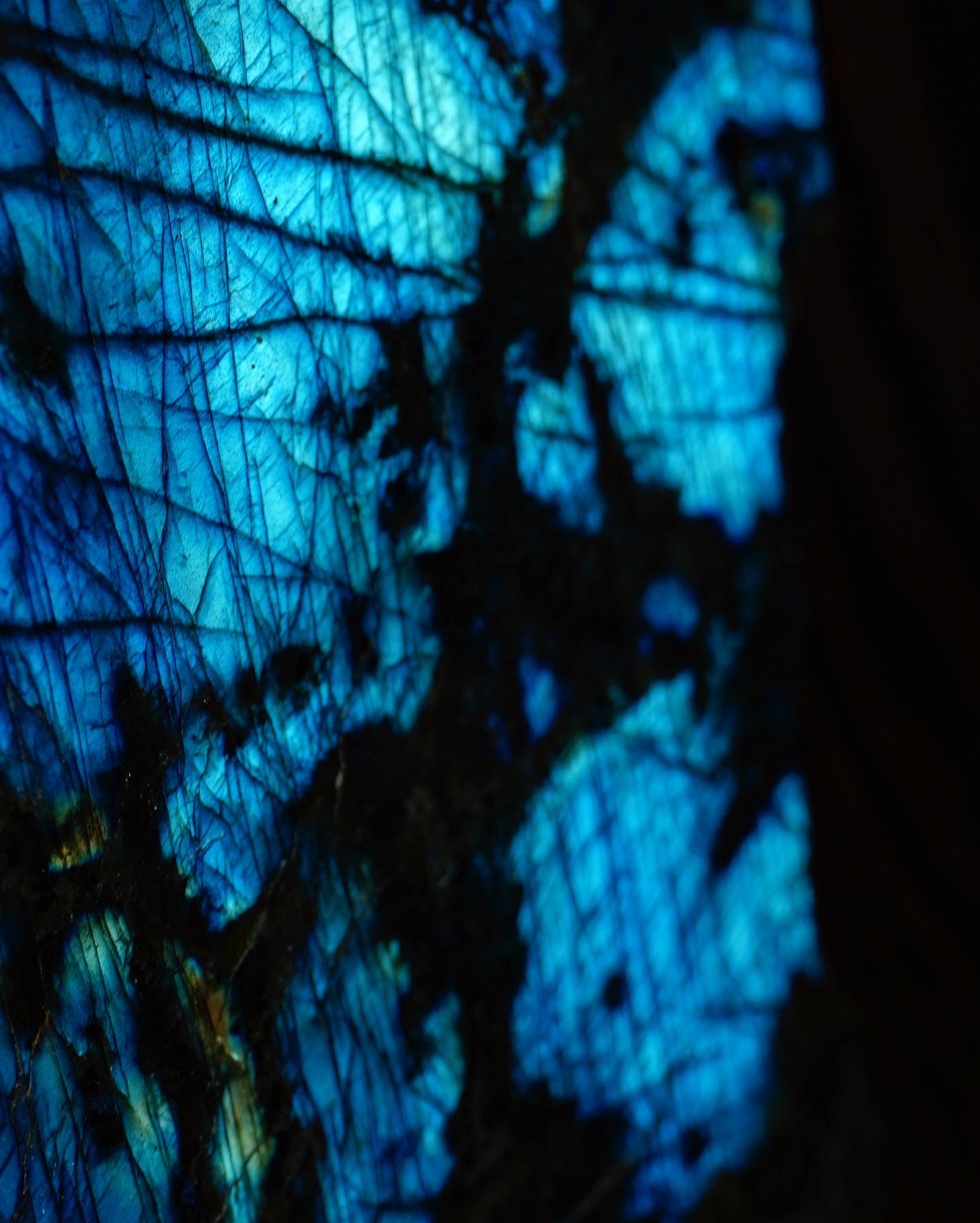 Labradorite Specimens