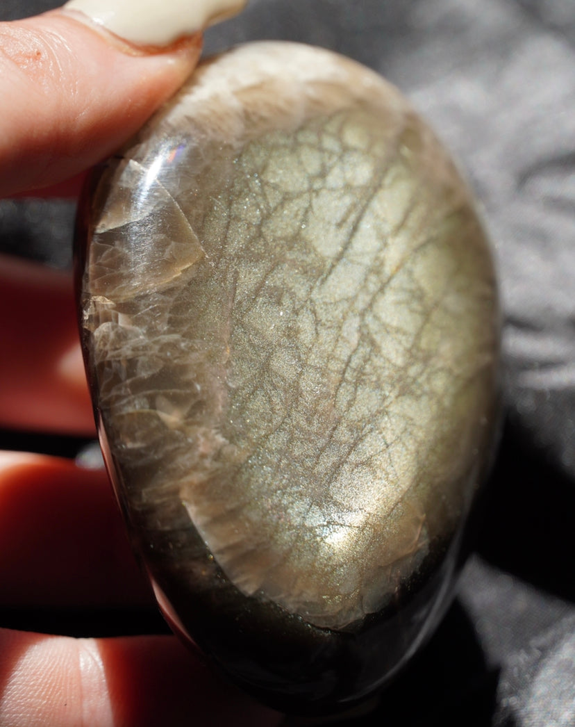 Crystal Palm Stones & Tumbles