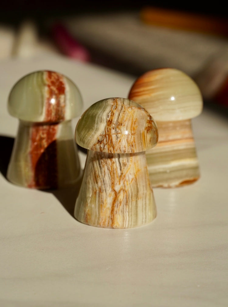 Carved Specimens