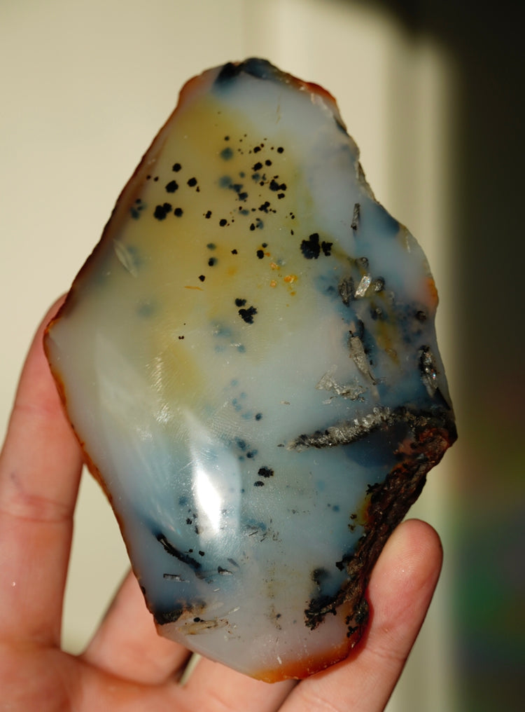 Agate Specimens