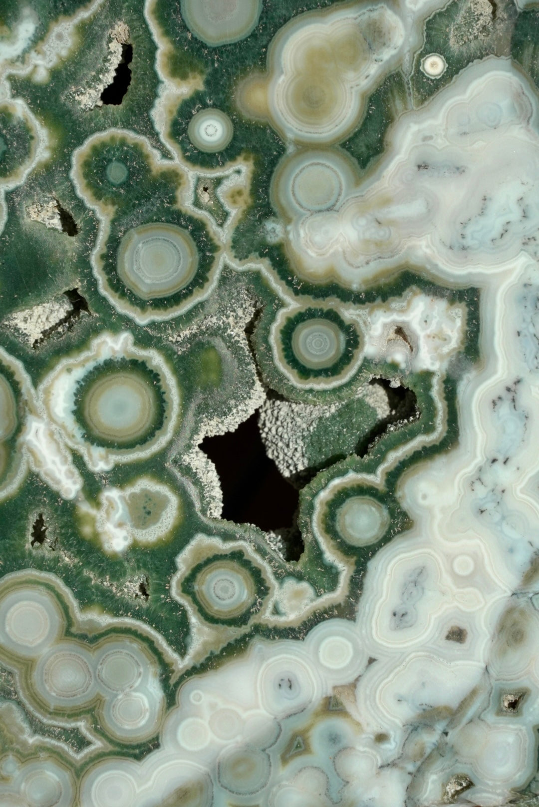 RARE 8th Vein Ocean Jasper X-Large Slab