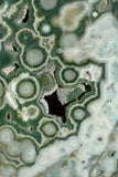 RARE 8th Vein Ocean Jasper X-Large Slab
