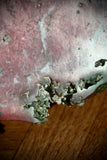 RARE 8th Vein Ocean Jasper X-Large Slab