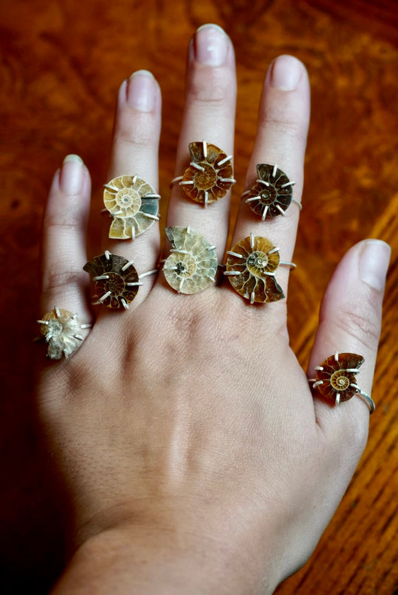 Custom Size Dainty Ammonite Ring in Sterling Silver