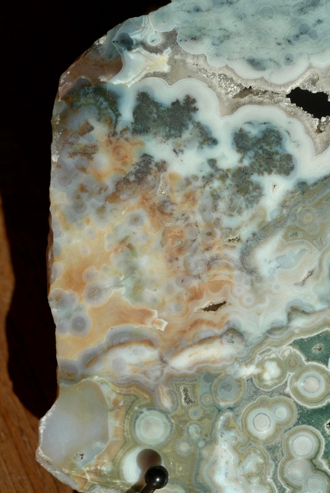 RARE 8th Vein Ocean Jasper X-Large Slab