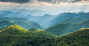 Donate to Help WNC