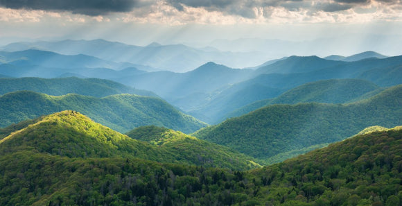 Donate to Help WNC