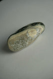 7th Vein Ocean Jasper Jumbo Tumble
