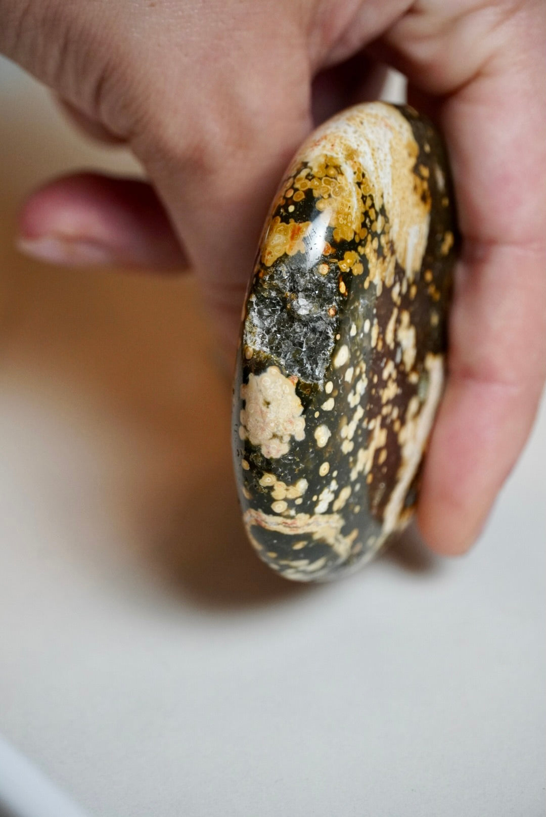 7th Vein Ocean Jasper Palm Stone