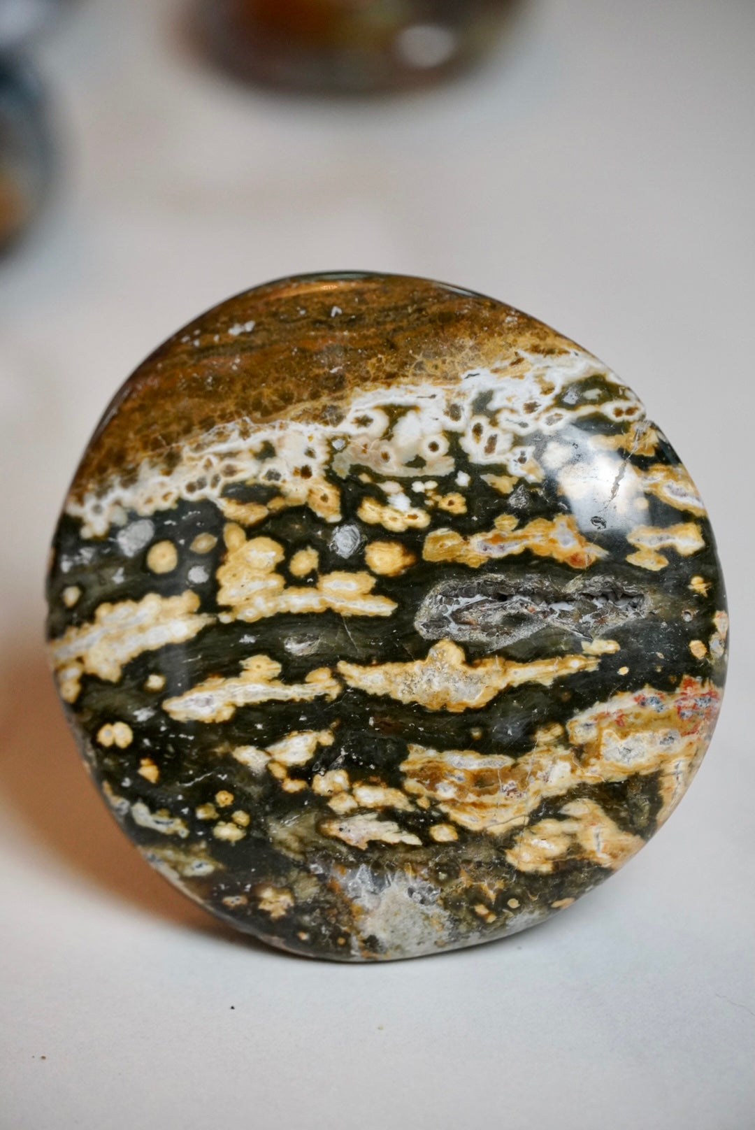 7th Vein Ocean Jasper Palm Stone