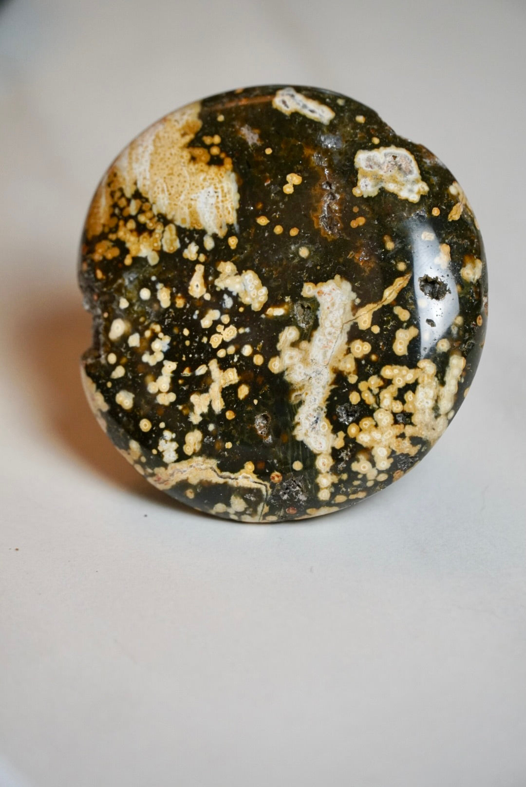 7th Vein Ocean Jasper Palm Stone