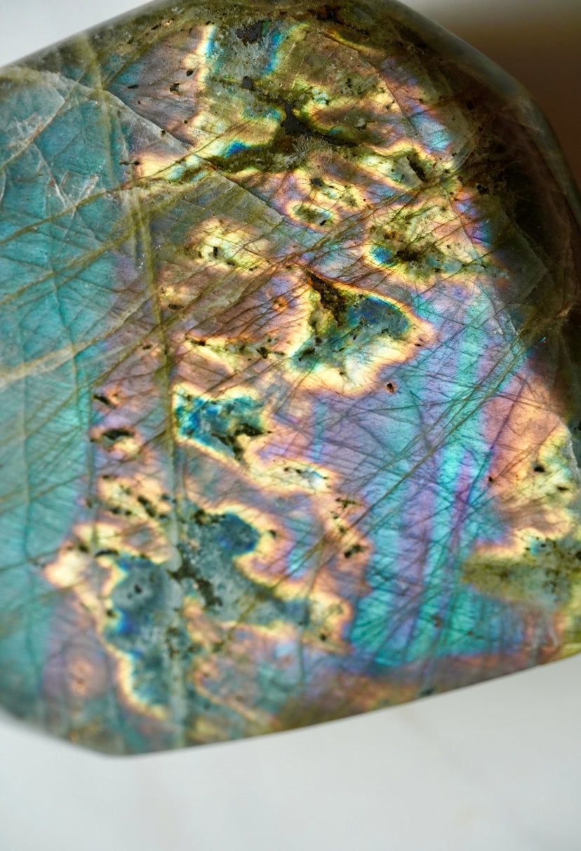 3.5LB Rainbow Labradorite Freeform