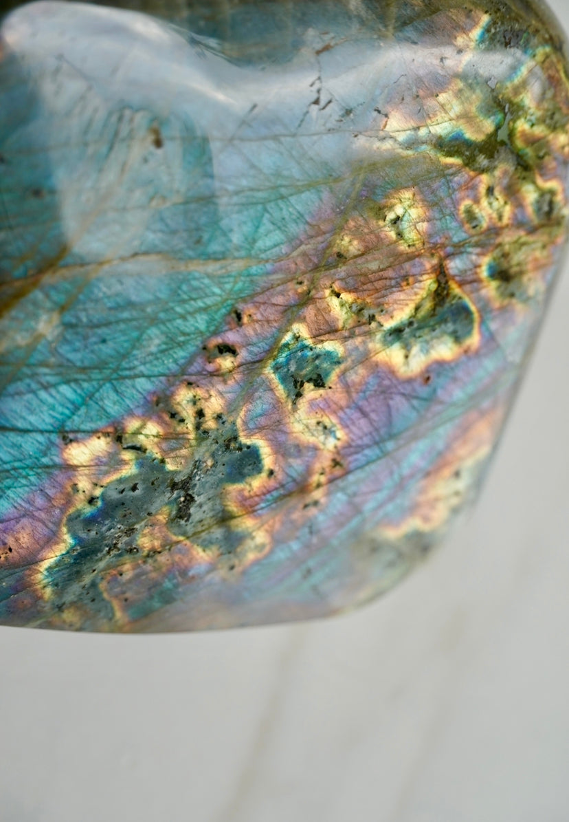 3.5LB Rainbow Labradorite Freeform