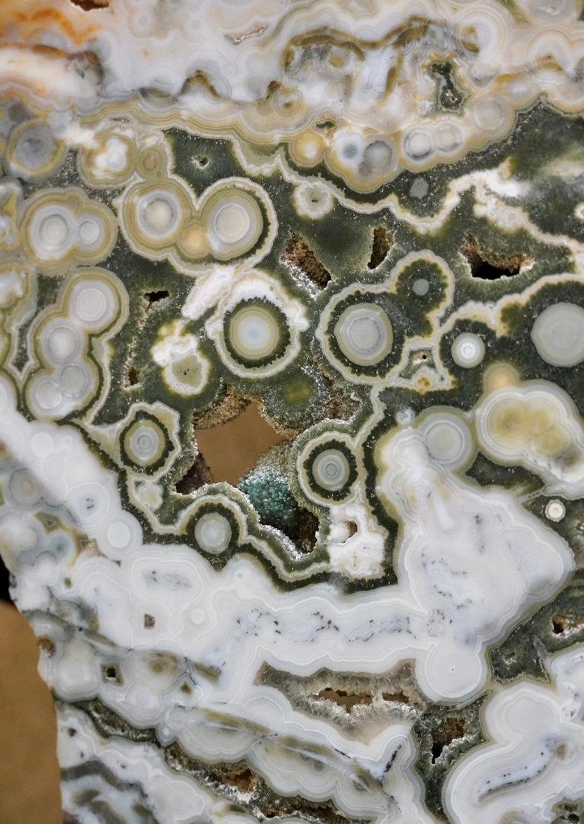 RARE 8th Vein Ocean Jasper X-Large Slab