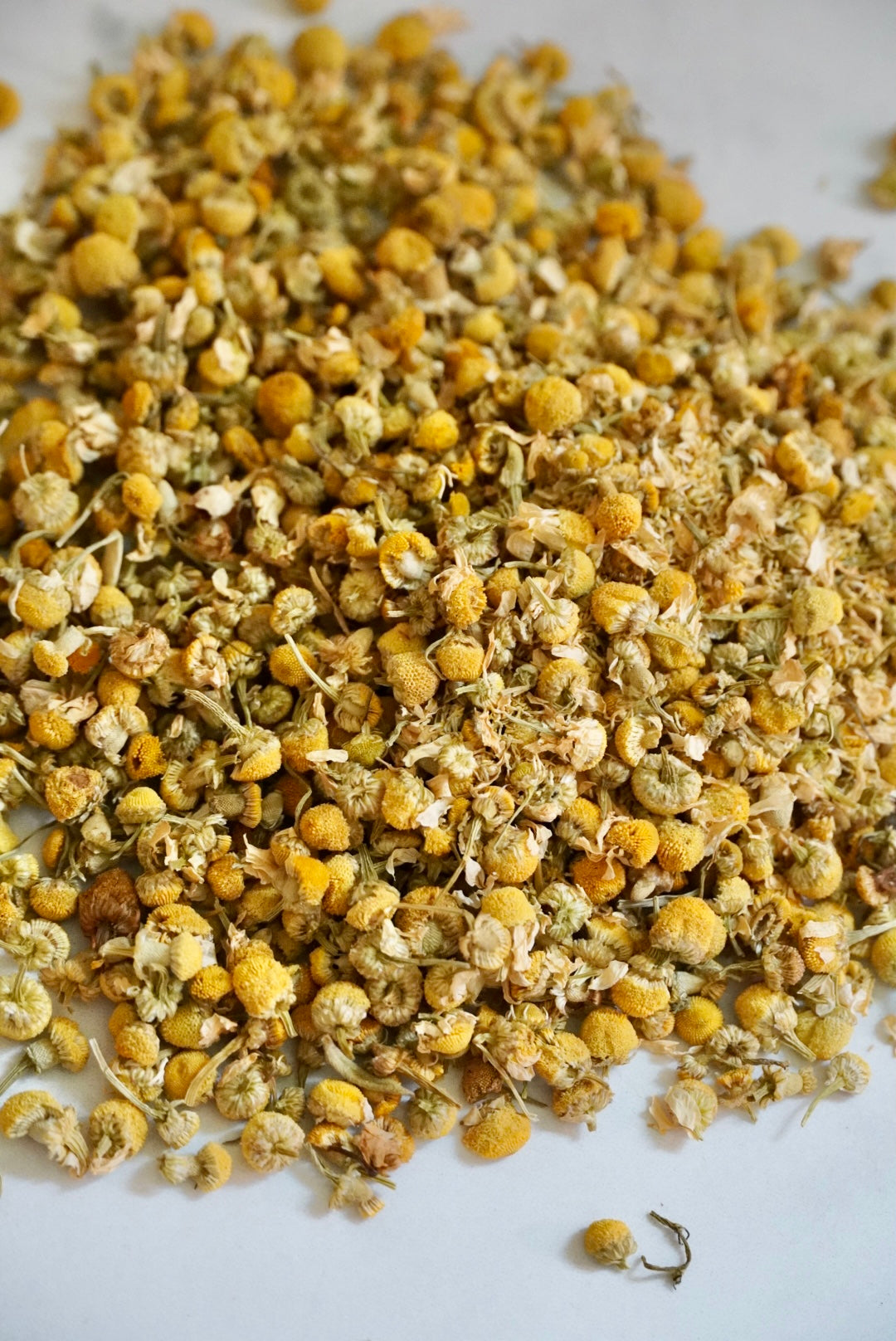 Organic German Chamomile