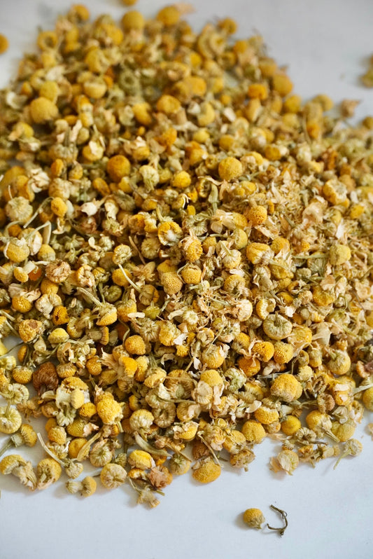 Organic German Chamomile