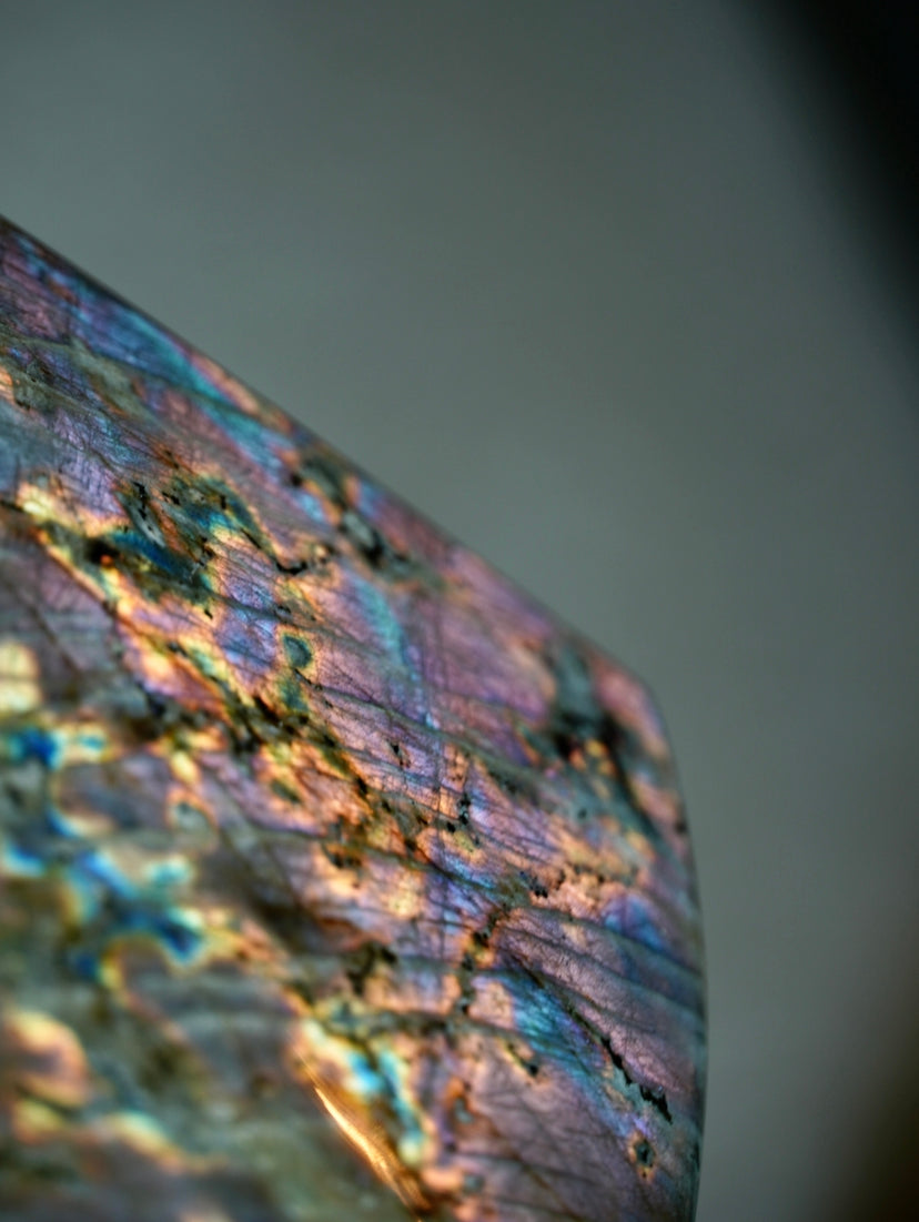 2.5LB Rainbow Labradorite Freeform