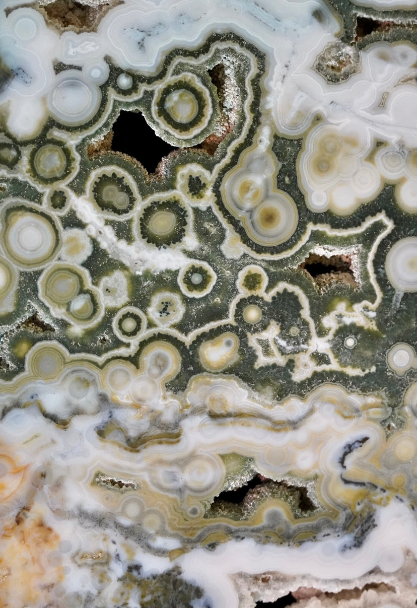 RARE 8th Vein Ocean Jasper X-Large Slab