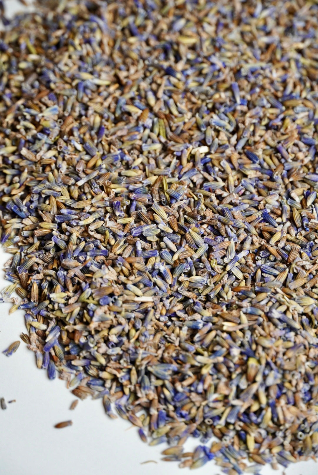 Organic Lavender