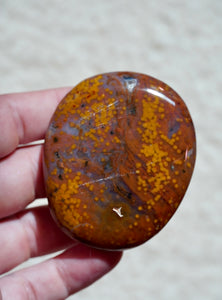 8th Vein Ocean Jasper Palm Stone