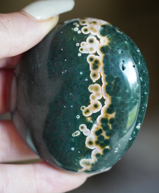 Kabamby Ocean Jasper Palm Stone