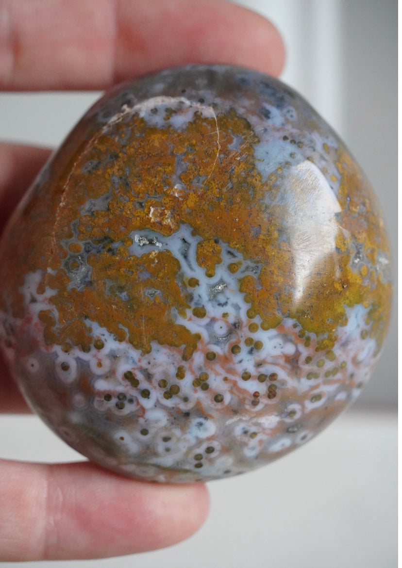 8th Vein Ocean Jasper Palm Stone