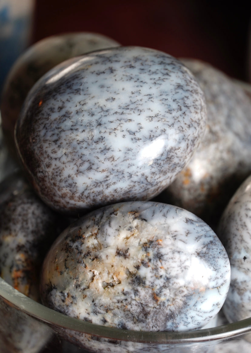 Dendritic Agate Pebble