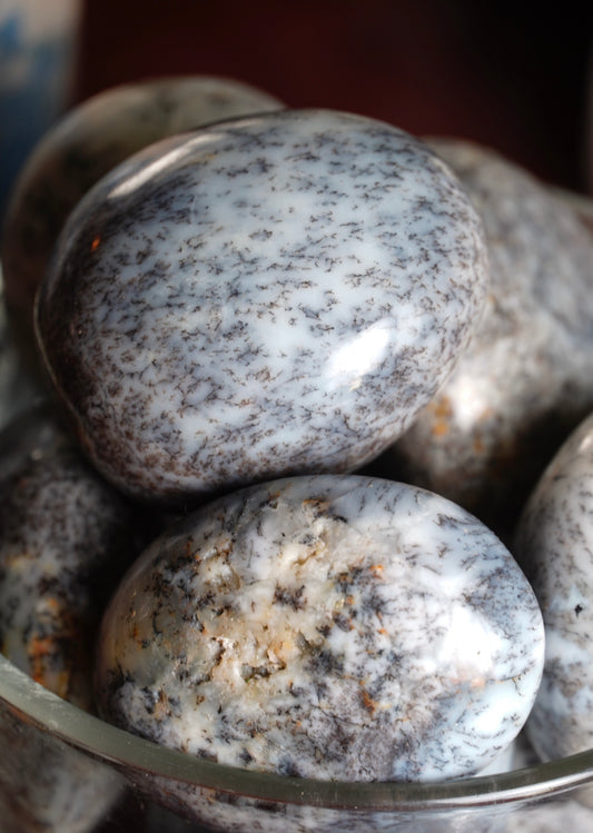 Dendritic Agate Pebble