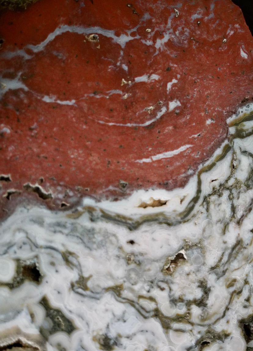 RARE 8th Vein Ocean Jasper X-Large Slab