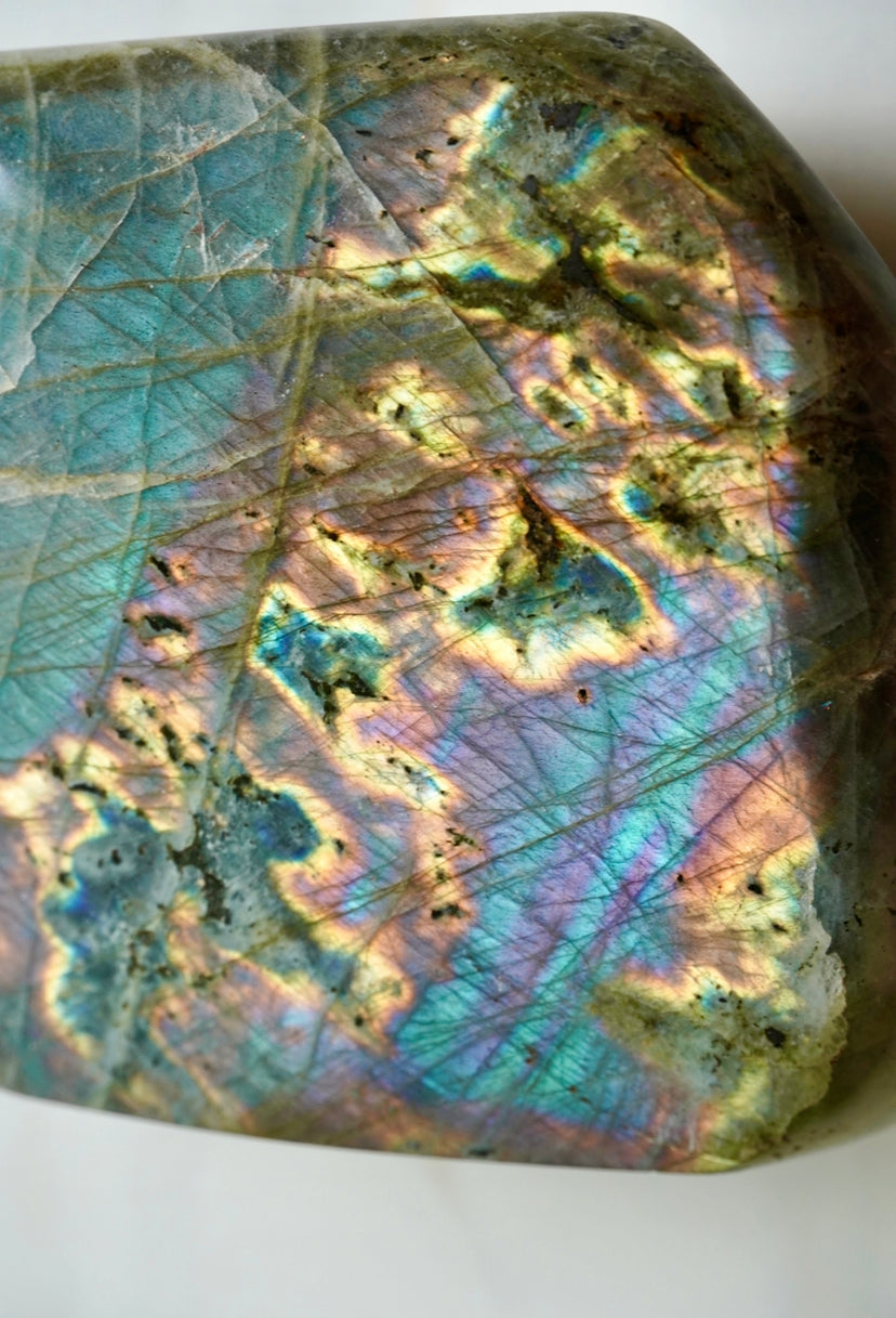 3.5LB Rainbow Labradorite Freeform
