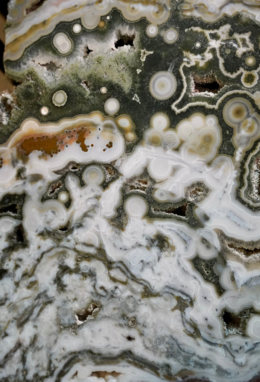 RARE 8th Vein Ocean Jasper X-Large Slab