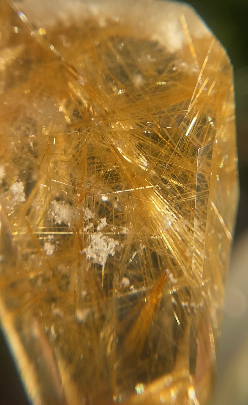 Gold Rutile & Chlorite Quartz