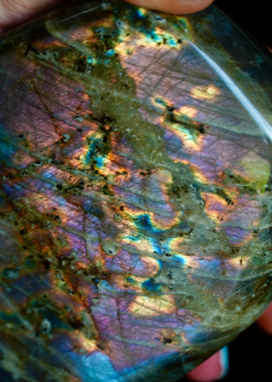 2.5LB Rainbow Labradorite Freeform